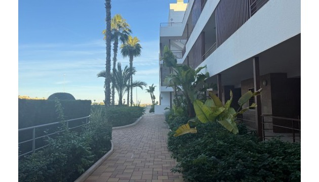 Resale - Apartment - Orihuela Costa - Lomas de Cabo Roig