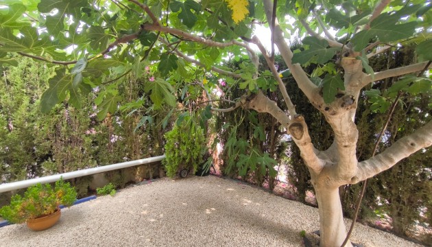 Resale - Detached Villa - Orihuela Costa - Playa Flamenca