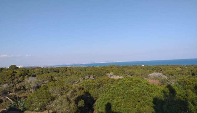 Nybygg - Leilighet - Guardamar del Segura