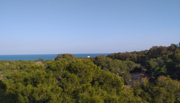 Nybygg - Leilighet - Guardamar del Segura