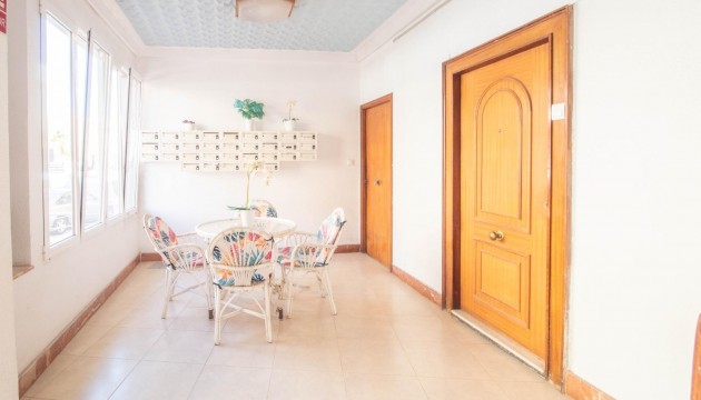 Begagnad - Lägenhet - Torrevieja - El Acequión - Los Náufragos