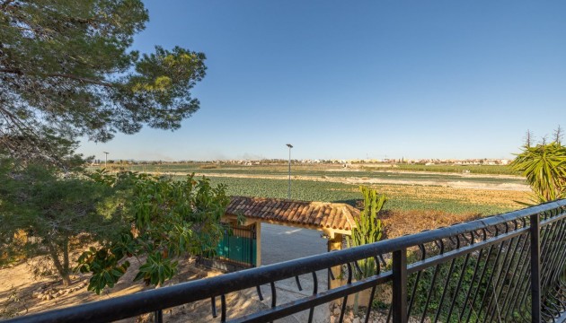 Wiederverkauf - Detached Villa - Los Montesinos