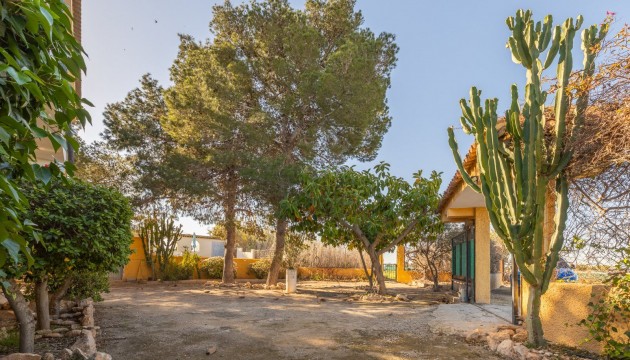 Wiederverkauf - Detached Villa - Los Montesinos