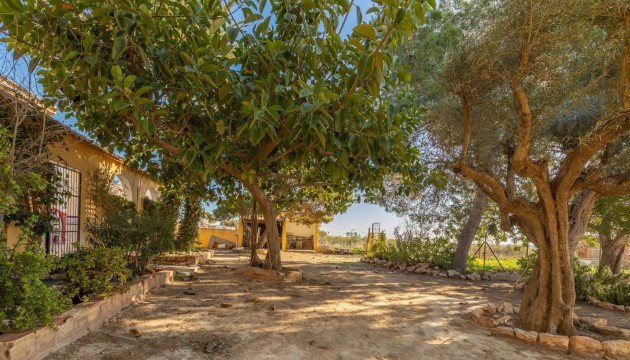 Wiederverkauf - Detached Villa - Los Montesinos