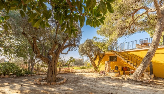 Wiederverkauf - Detached Villa - Los Montesinos