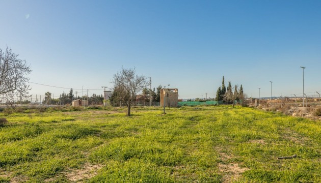 Wiederverkauf - Detached Villa - Los Montesinos