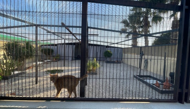 Begagnad - Landsbyggdshus - Elche - Las Bayas