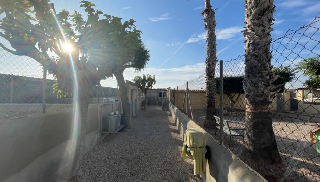 Begagnad - Landsbyggdshus - Elche - Las Bayas