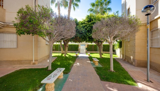 Wiederverkauf - Apartment - Torrevieja - Playa del Cura