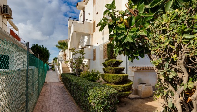 Begagnad - Lägenhet - Torrevieja - Playa De Los Locos