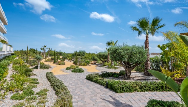 Begagnad - Lägenhet - Las Colinas Golf