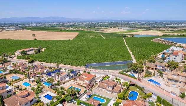 Resale - Detached Villa - Algorfa