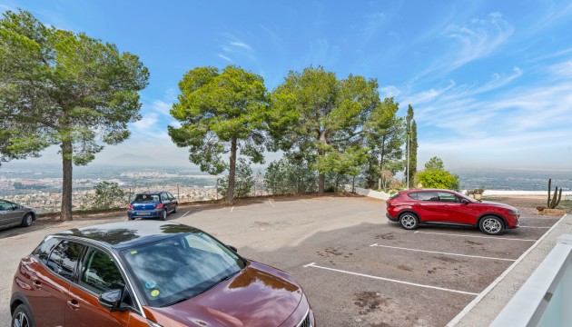 Перепродажа - Studio - Ciudad Quesada