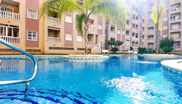 Reventa - Apartamento - Torrevieja