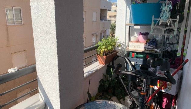 Begagnad - Lägenhet - Torrevieja - Center