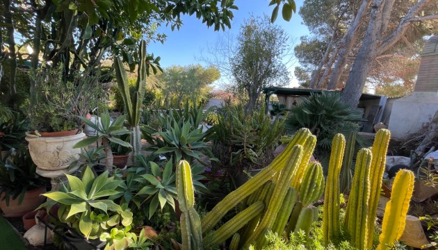 Begagnad - Fristående Villa - Orihuela Costa - Lomas de Cabo Roig