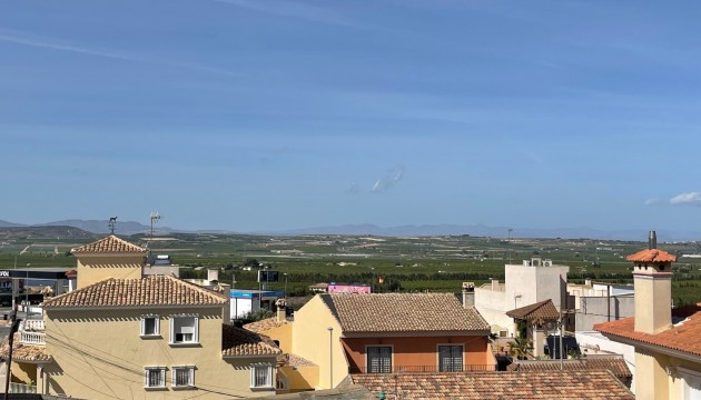 Wiederverkauf - Detached Villa - San Miguel de Salinas