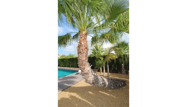 Reventa - Chalet Independiente - Rojales - Ciudad Quesada