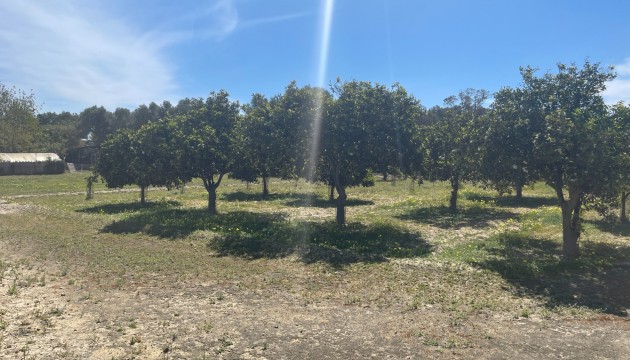 Begagnad - Fristående Villa - Guardamar del Segura