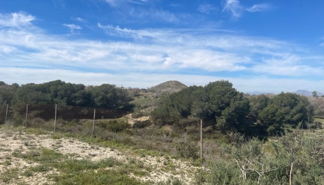 Begagnad - Fristående Villa - Guardamar del Segura