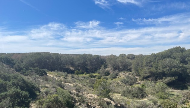 Begagnad - Fristående Villa - Guardamar del Segura