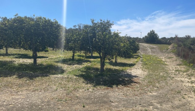 Begagnad - Fristående Villa - Guardamar del Segura