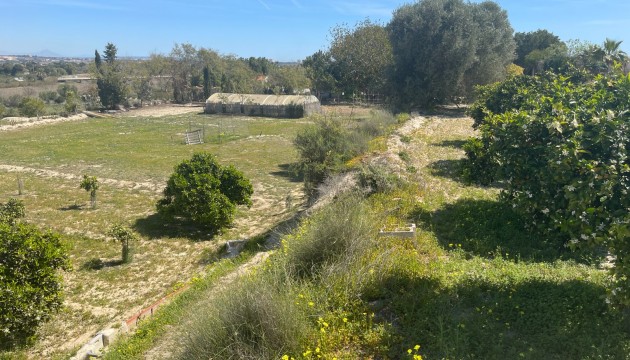 Begagnad - Fristående Villa - Guardamar del Segura