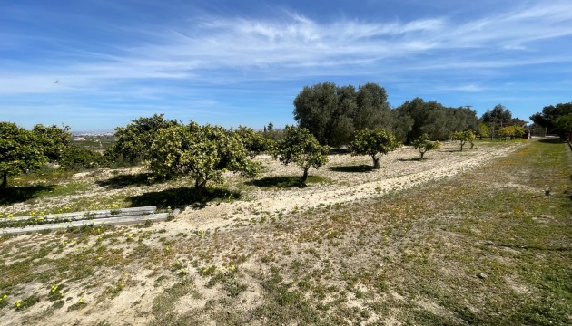 Begagnad - Fristående Villa - Guardamar del Segura