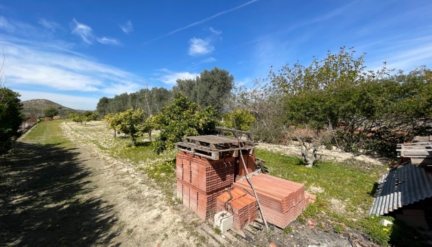 Begagnad - Fristående Villa - Guardamar del Segura