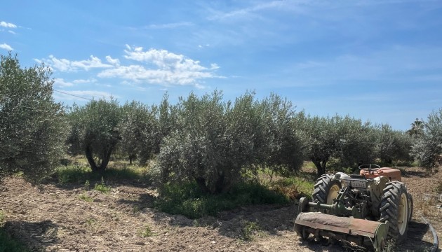 Videresalg - Detached Villa - Crevillente