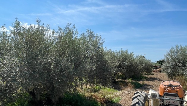 Videresalg - Detached Villa - Crevillente