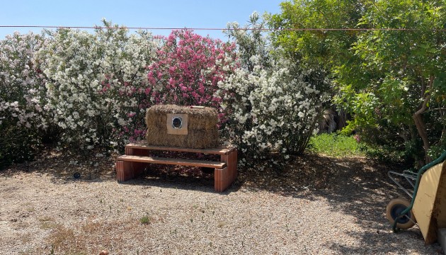 Перепродажа - отдельная вилла - Daya Nueva