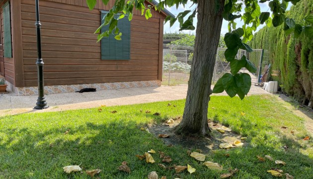 Resale - Detached Villa - La Marina