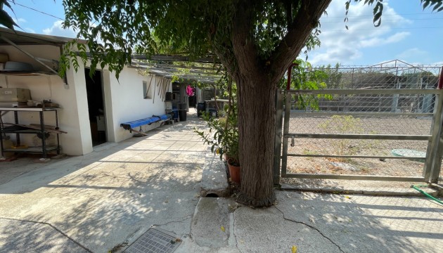 Resale - Detached Villa - La Marina