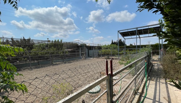 Resale - Detached Villa - La Marina