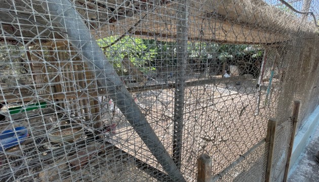 Resale - Detached Villa - La Marina