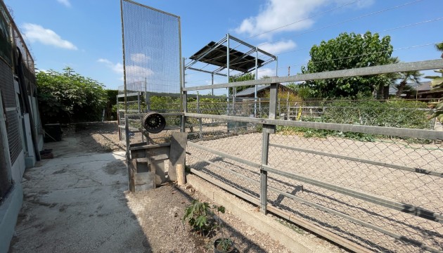 Resale - Detached Villa - La Marina