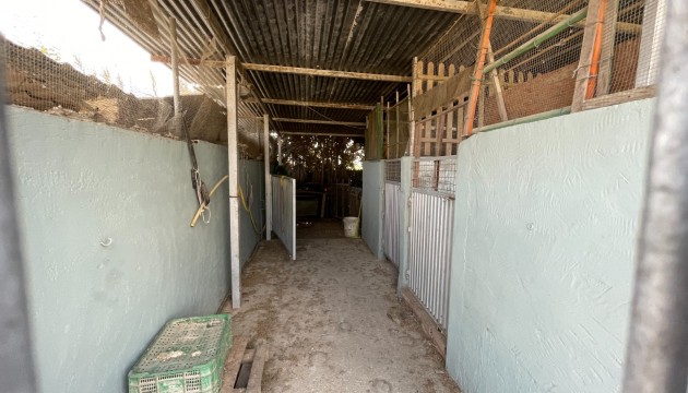 Resale - Detached Villa - La Marina