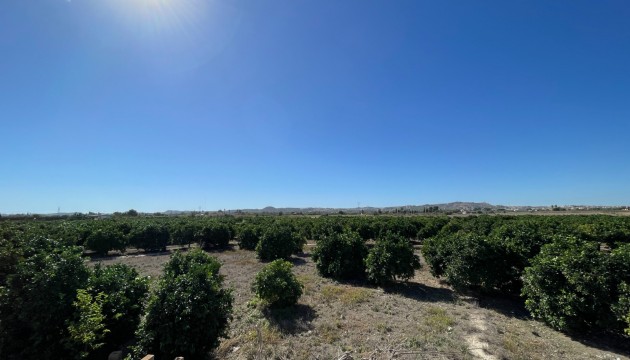 Reventa - Adosado - La Marina - Center