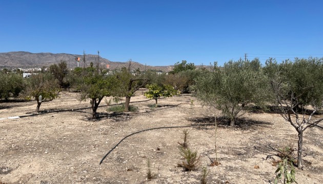 Begagnad - Fristående Villa - Crevillente