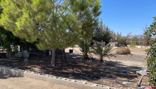 Begagnad - Fristående Villa - Crevillente