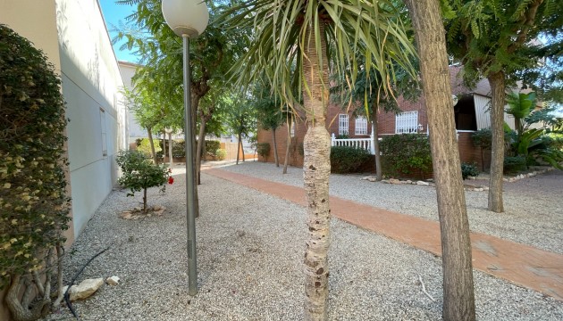 Reventa - Adosado - Elche - Center