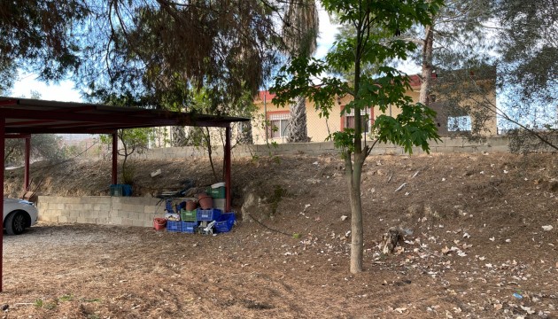 Reventa - Finca - Jacarilla