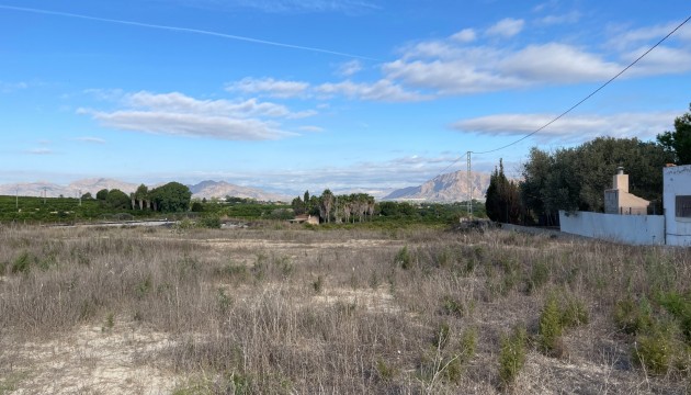 Reventa - Finca - Jacarilla