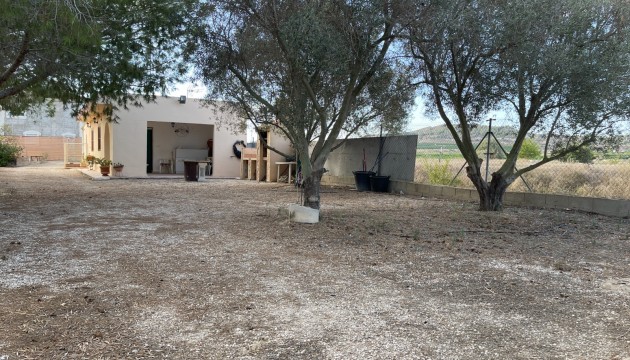 Reventa - Finca - Jacarilla