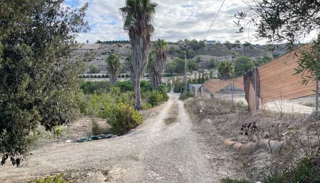 Reventa - Finca - Jacarilla