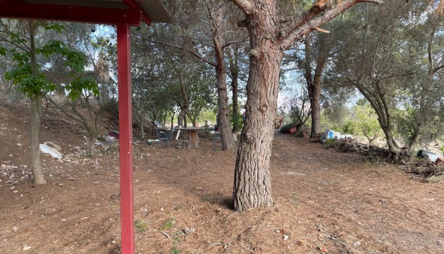 Reventa - Finca - Jacarilla