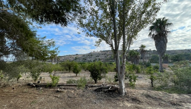 Reventa - Finca - Jacarilla