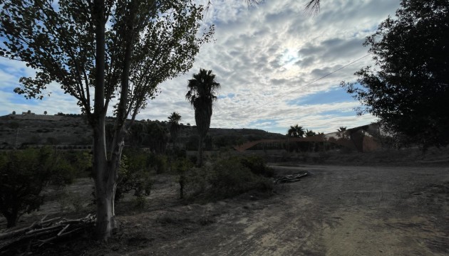 Reventa - Finca - Jacarilla