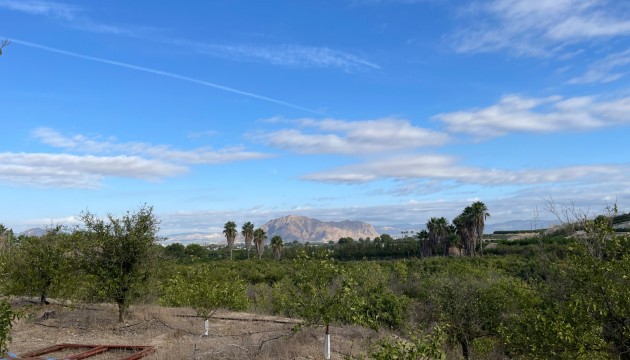 Reventa - Finca - Jacarilla